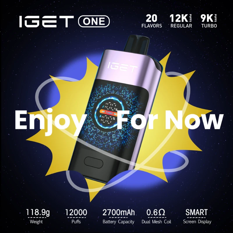 IGET ONE Vape (12000 PUFFS)